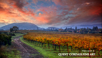"Wine Country Color" -  contact us for pricing