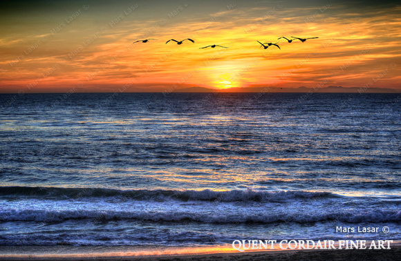 marslasar_pelican sunset_cordair